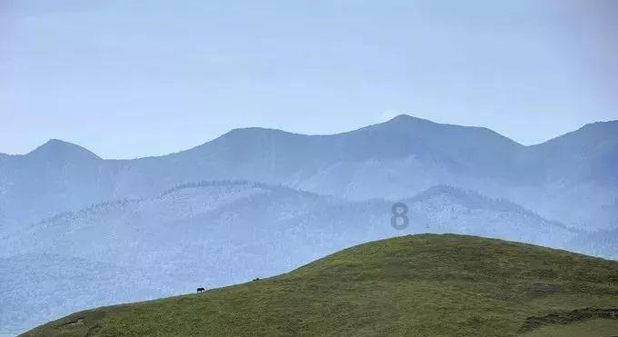 《如龙8无限财富》檀香山市测验考题答案