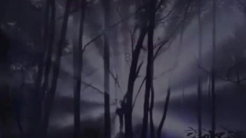 上升的五彩石