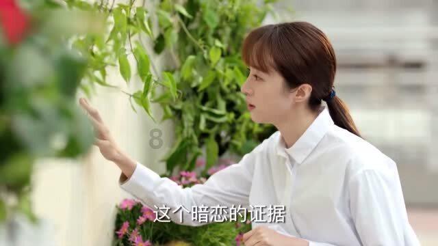 哈尼和她的宠物们