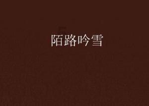 隐藏的金色星星