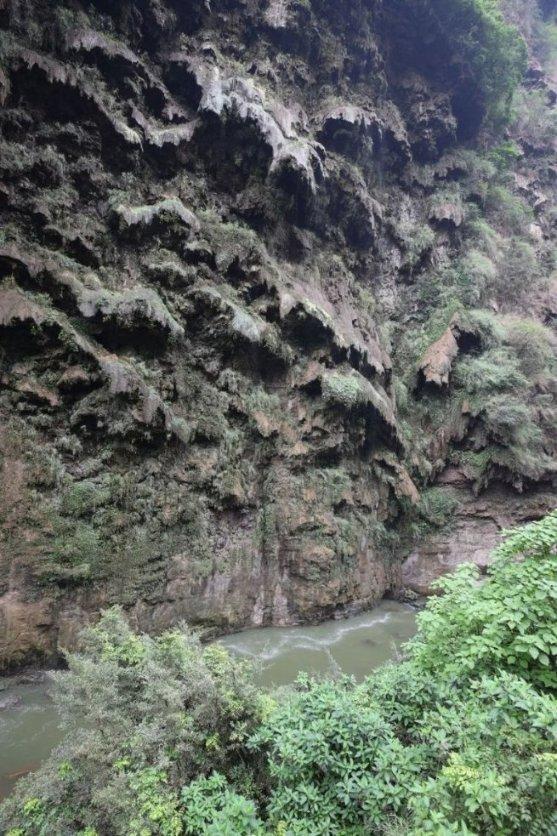 许留山、鲜芋仙逐渐“落魄”，80、90后的童年记忆要消失了？
